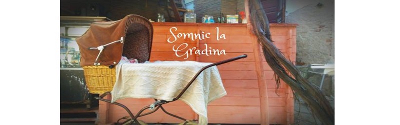 somnic